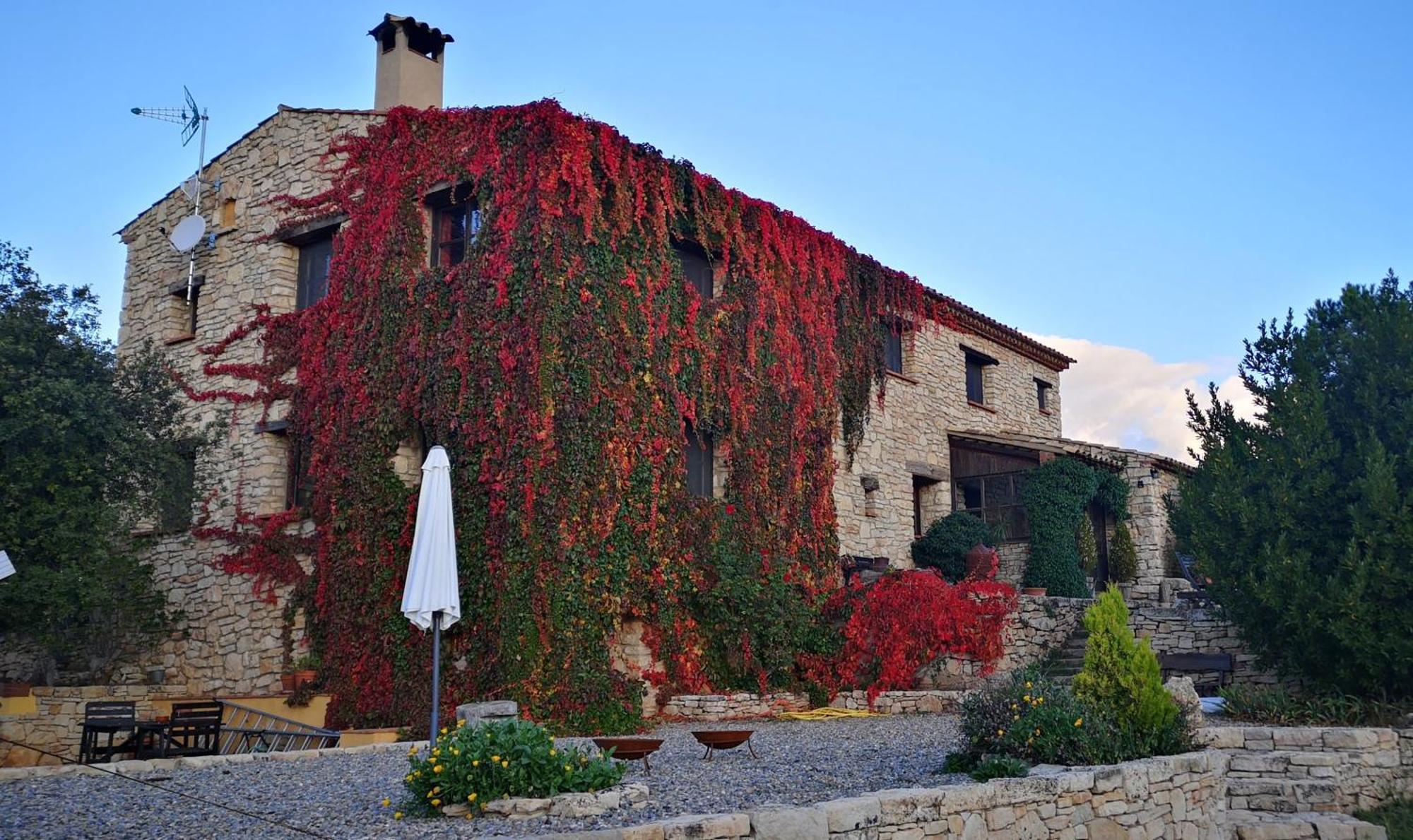 Gasthaus Mas De L'Arlequi Rojals Exterior foto